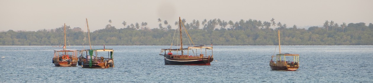 Traditional Boats in fron of Wasini Island