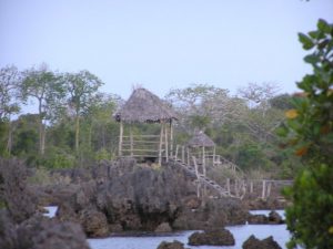 Conservation Project "Coral Garden" with Boardwalk