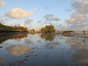 Amazing Wasini Island