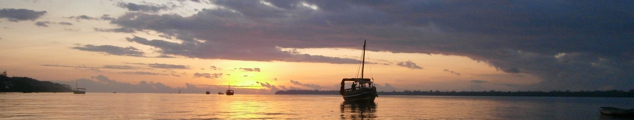 Wasini Island's Travel, Tour & Accommodation Guide